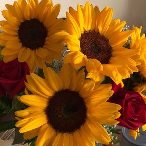 Meet your Posher, Natalya